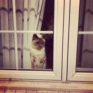 Meet your Posher, Claire